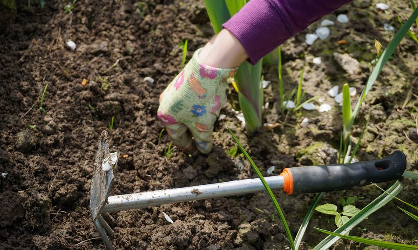 Лунный Календарь Садовода и Огородника на Июнь 2022 года