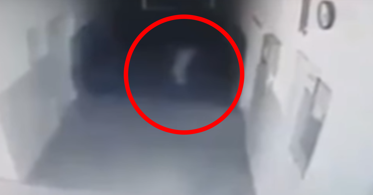 domoganie-popavshie-na-kameru-kak-muzhya-pizdyat-svoih-zhen-a-potom-ih-trahayut