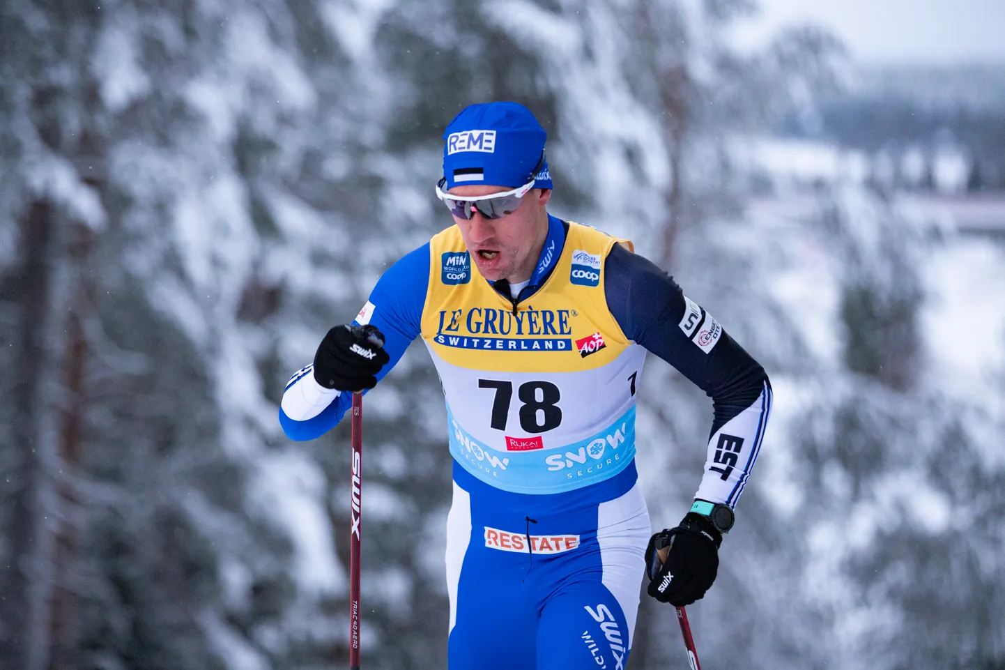 Kaarel Kasper Kõrge.