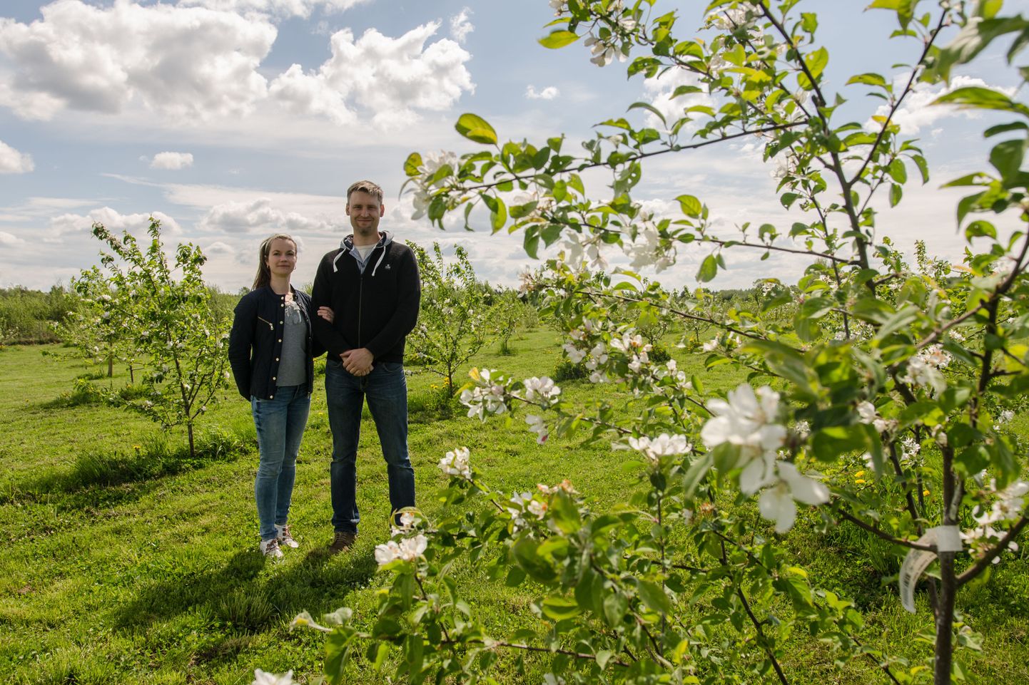 Õitsemise aeg: Tori-Jõesuu siidri- ja veinitalu pererahvas Veranika ja Karmo Haas talu noorte õunapuude keskel.