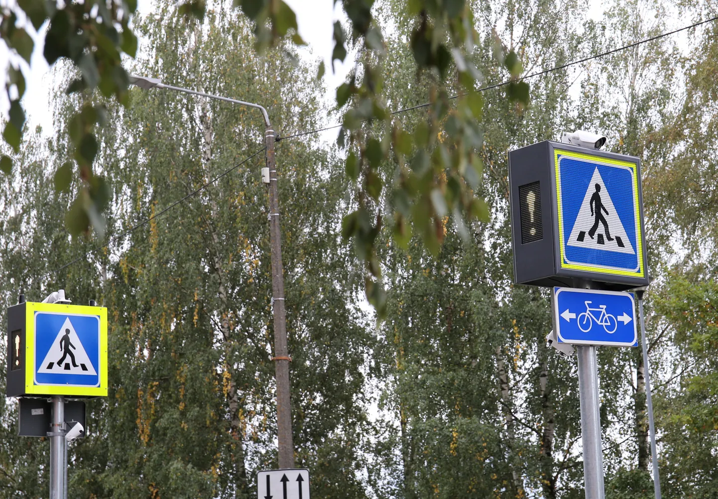 Ülekäigurada. Pilt on illustratiivne.