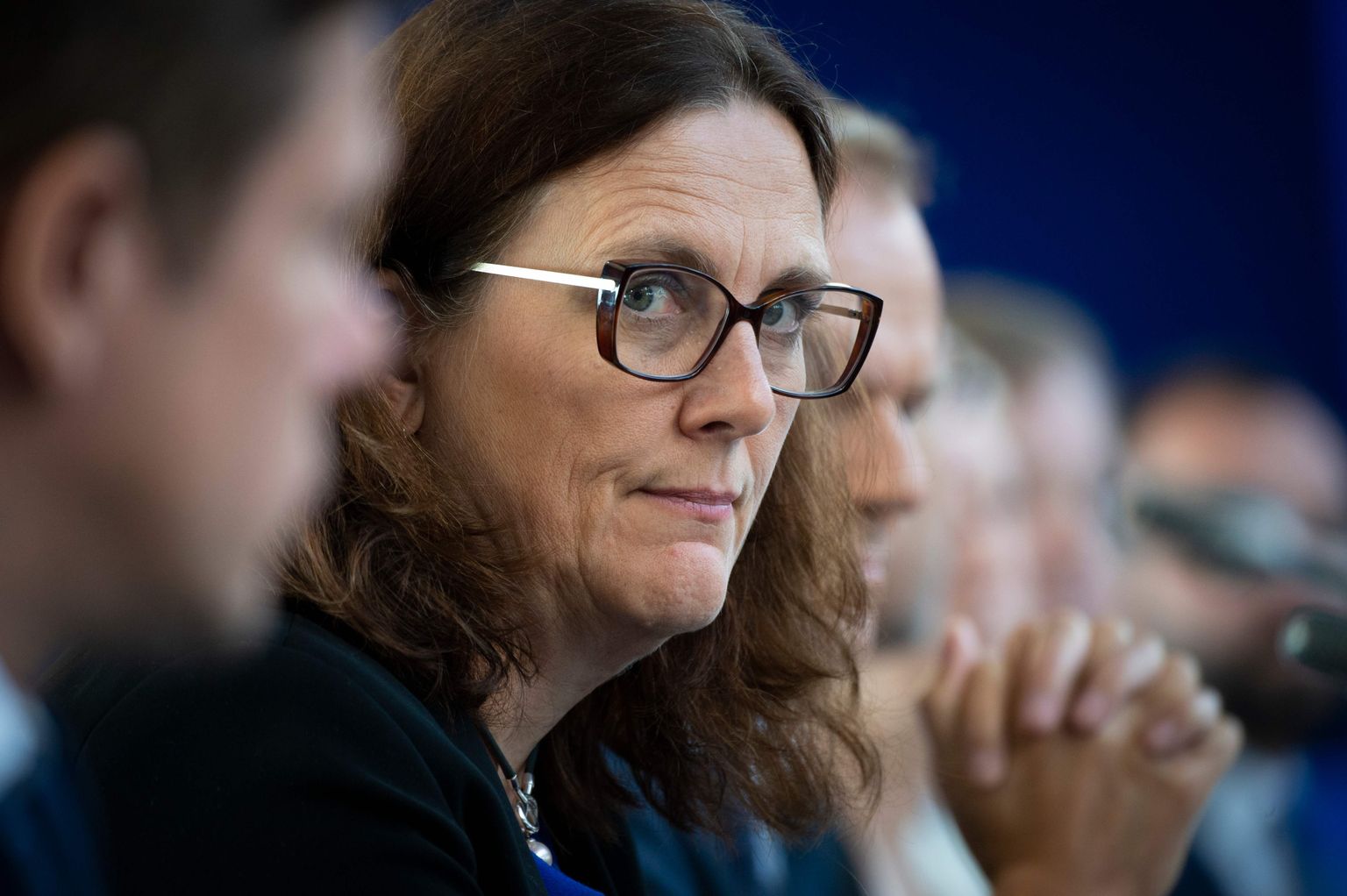 Euroopa Komisjoni endise kaubandusvoliniku Cecilia Malmströmi sõnul peaks OECD rohkem pühenduma jätkusuutlikkusele, kliimamuutustele ning globaliseerumise headele aspektidele.
