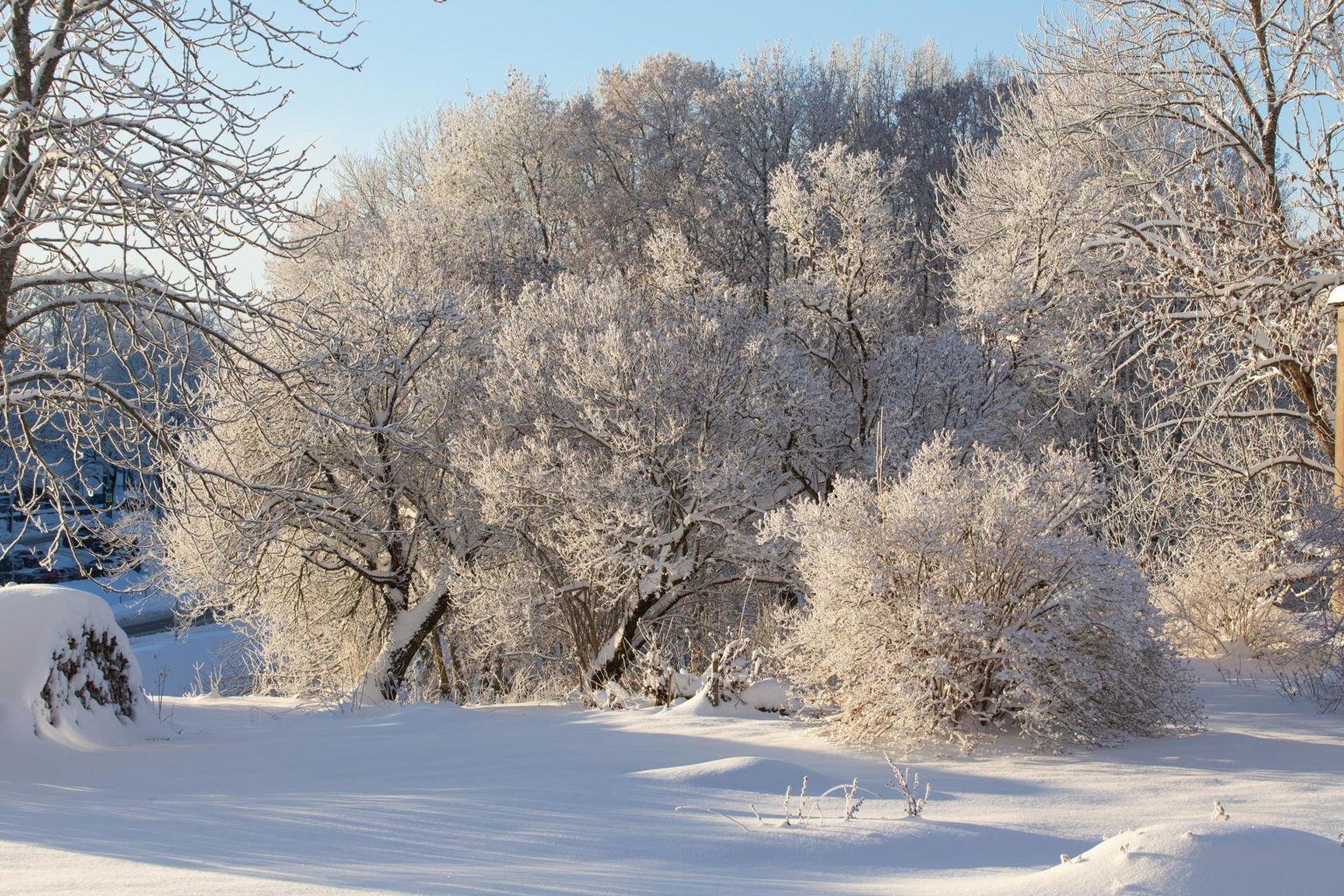 Suurem osa jõulukuust möödus talviselt nagu vanadel headel aegadel. See pilt on tehtud 10. detsembril.