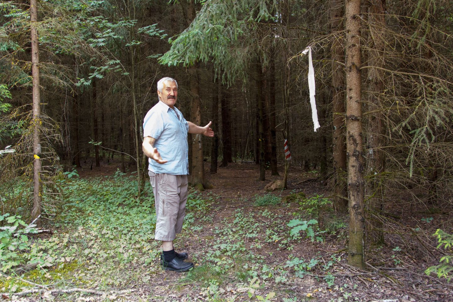 Vello Paidre näitab Iigaste metsajooksu rada.