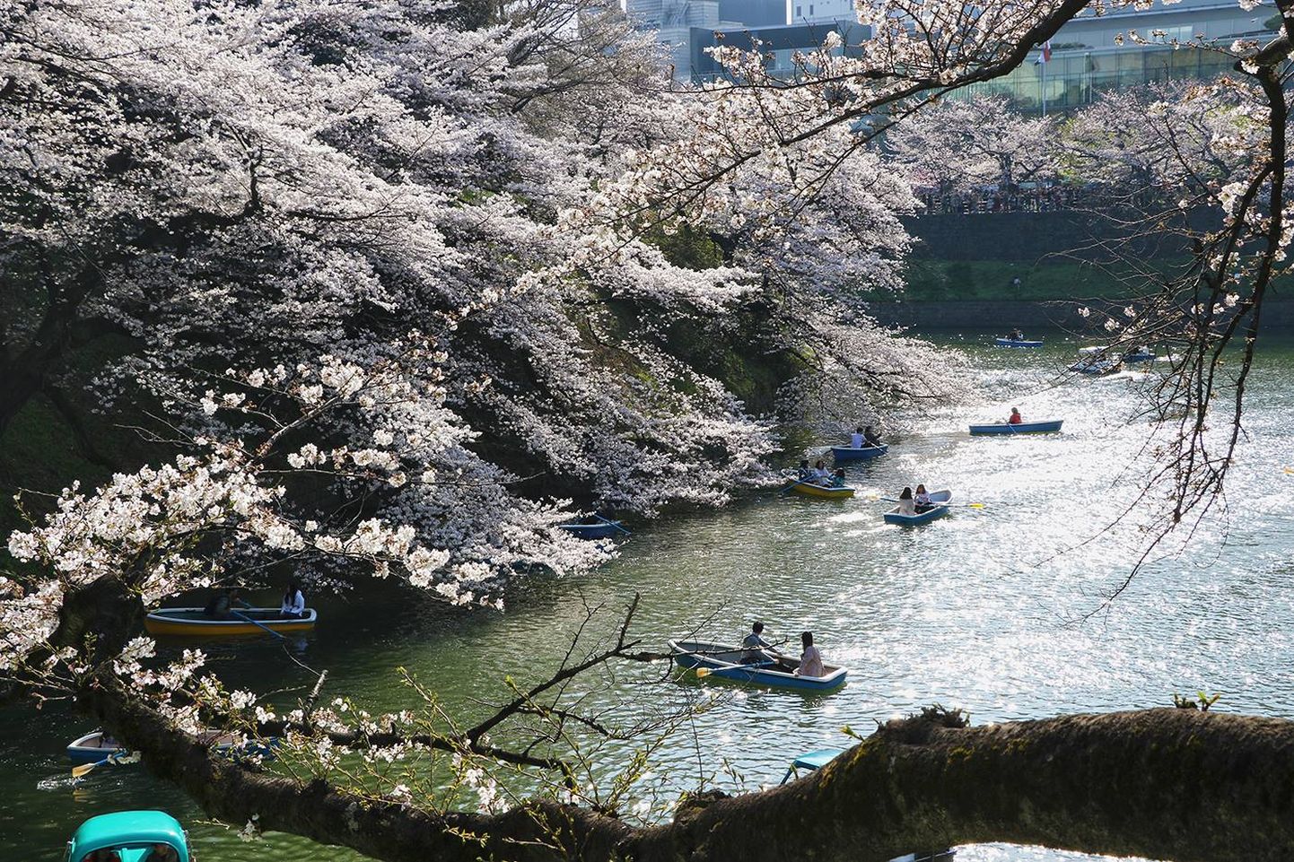 Tokyo keisripalee ümbrus 2018. aasta kevadel.