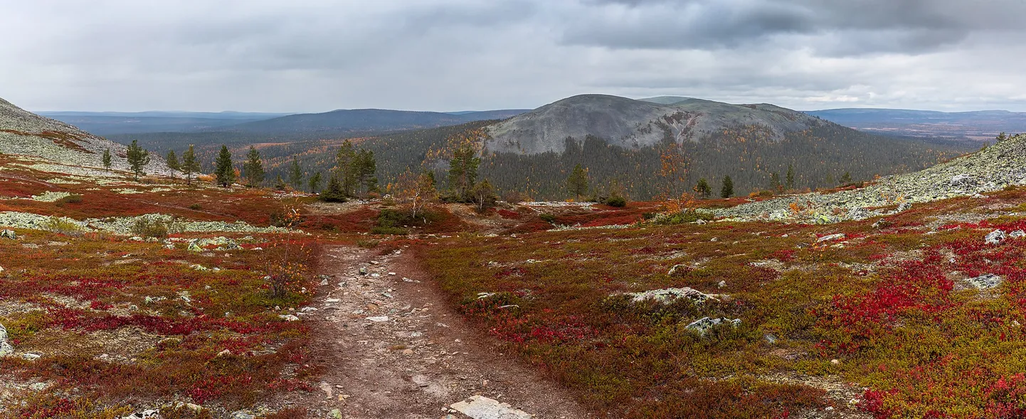 Pallas-Yllästunturi rahvuspark.