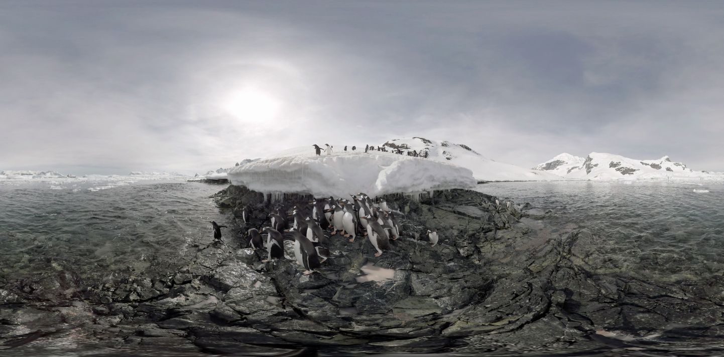 Briti teadlased plaanivad suurt Antarktika meteoriitide otsimise ekspeditsiooni
