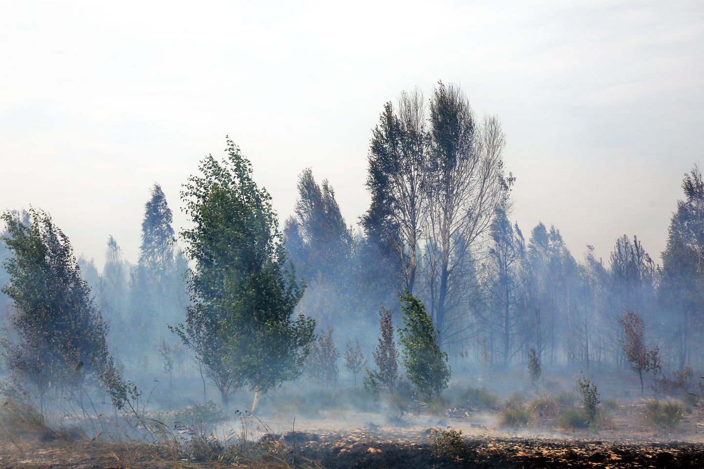 Пожар в Валдгалской волости