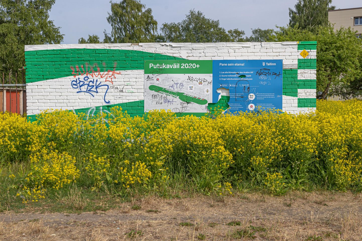 Garaažidevahelisel alal Põhja-Tallinnas asuv putukaväil. Pilt on illustratiivne.