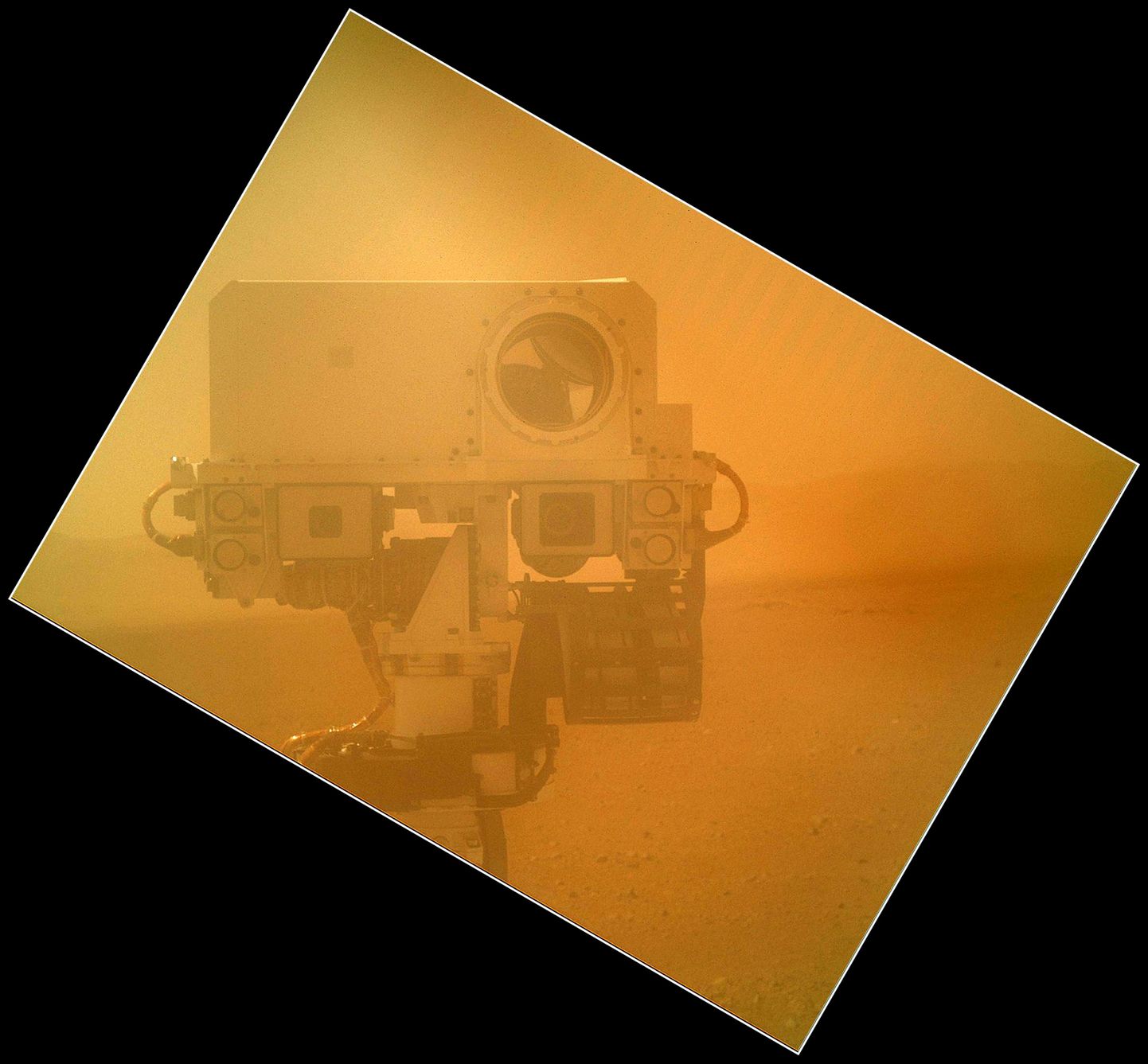 Marsi-kulgur Curiosity portreefoto