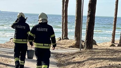 ФОТО ⟩ В Пирита на пляж вызвали спасательную бригаду. «Думали, что разводят костер, но на самом деле...»