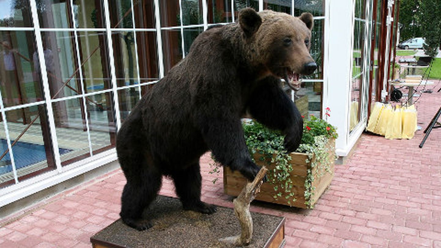 Jäägrimuuseumis olevatest loomatopistest kuulsaim on karu Jaak, kes toonase kaitseministri Jaak Aaviksoo ametiauto ette sattus ning seejärel juba topisena 2008. aasta augustis muuseumi jõudis.