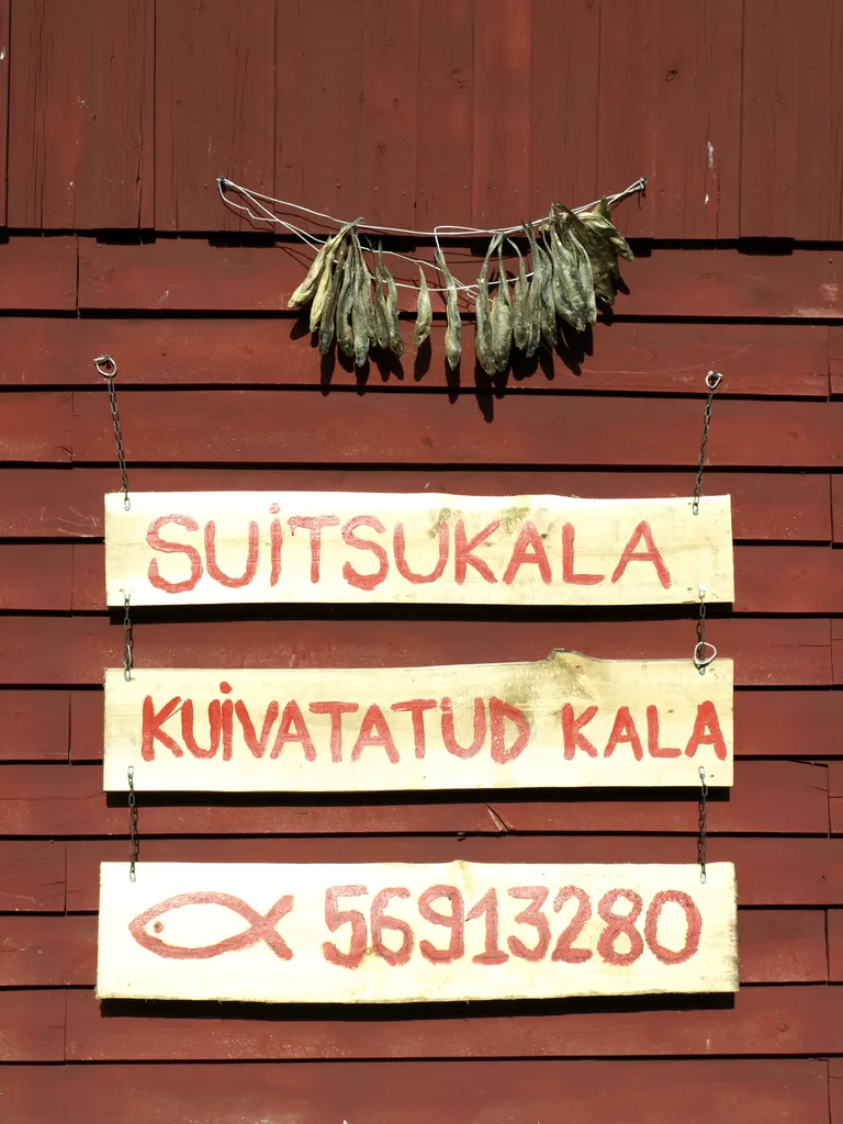 Suitsukala Vormsil.