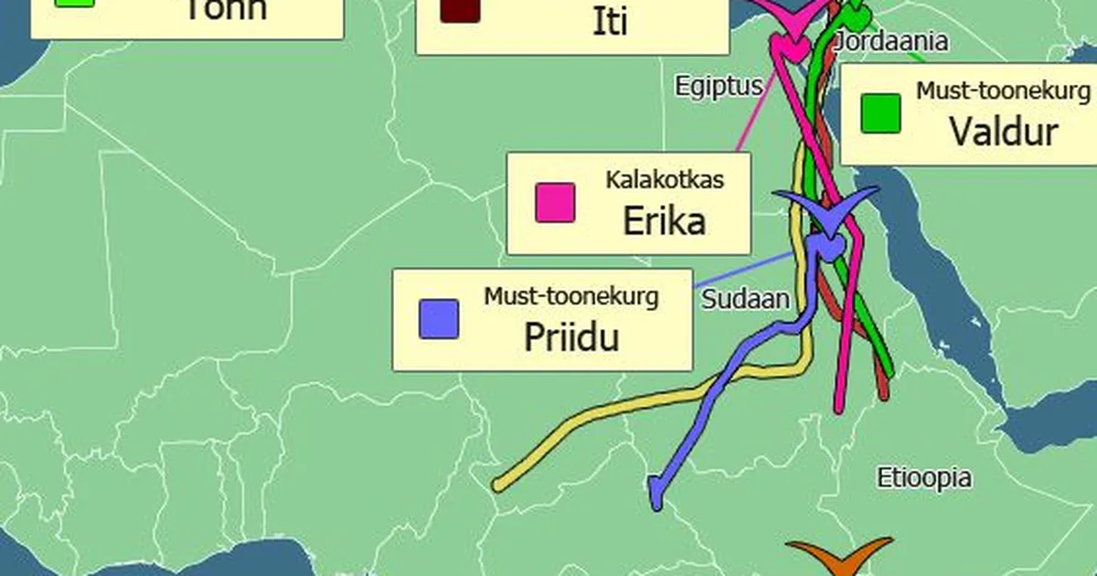 Koduteel Eesti rändlinnud saabuvad aprillis