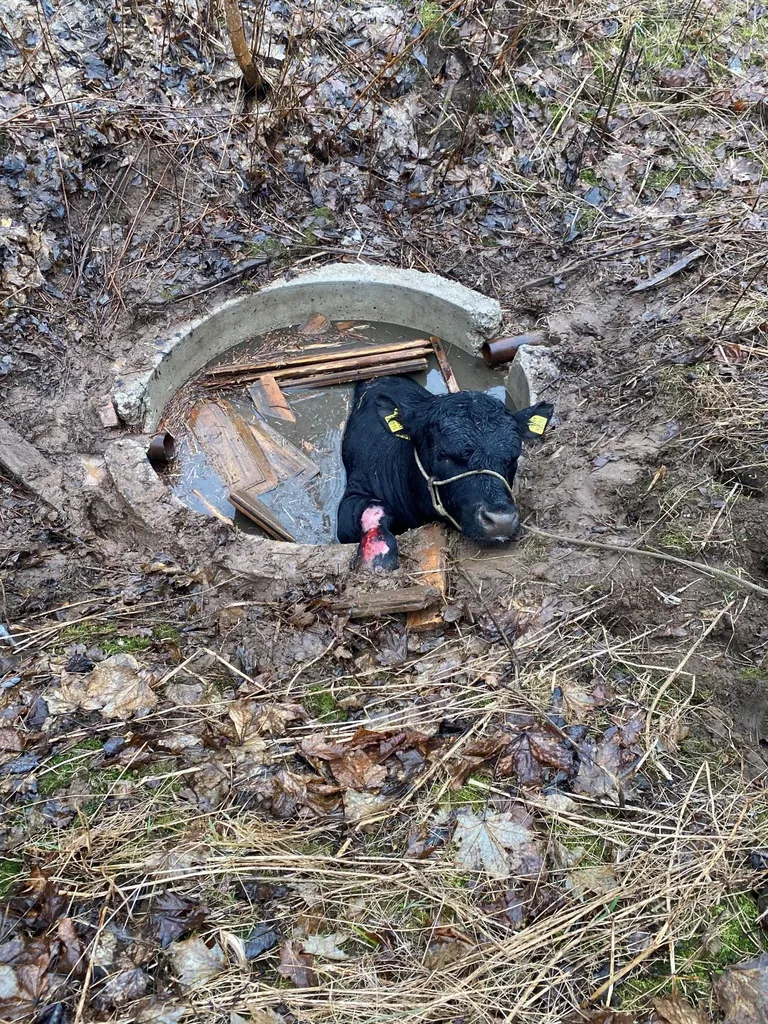 Foto sündmuskohalt.