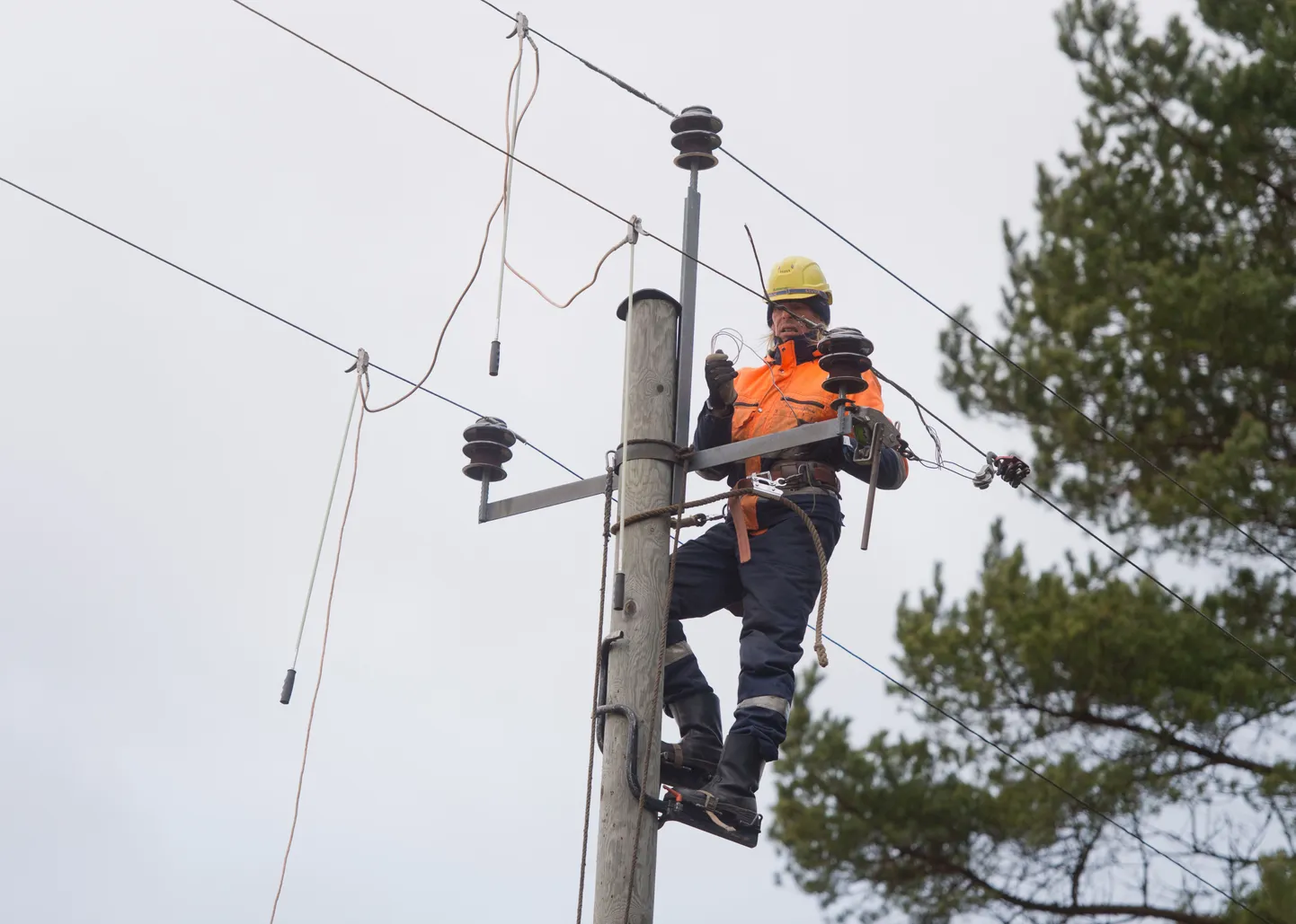 Elektriliini remont.