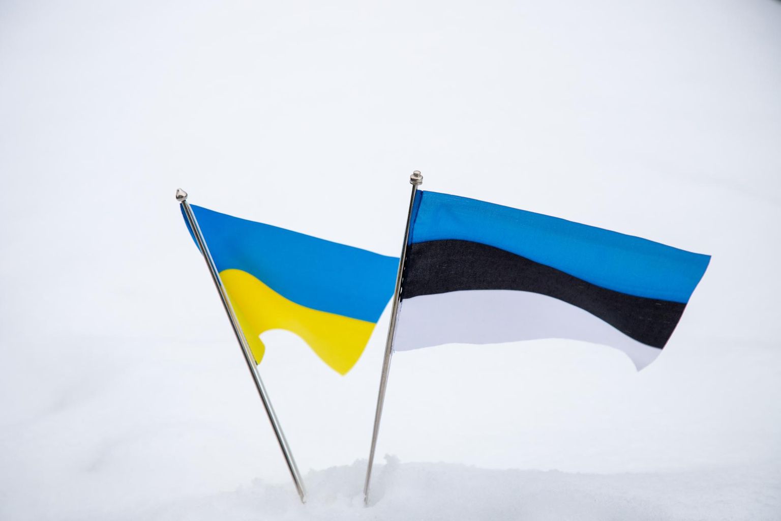 Eesti ja Ukraina lipp.
