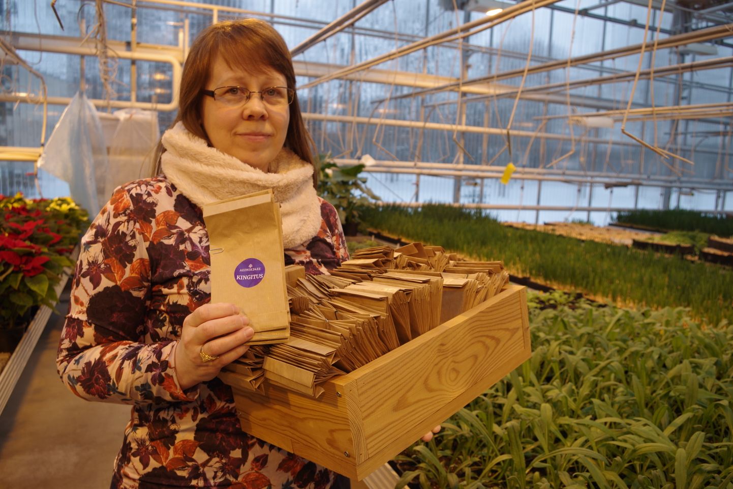 Räpina aianduskooli haridustehnoloog Katrin Uurmani käes oleva seemnepaki saab 300 õpilasrühma, kes veebruari keskel oma kurgitaimed kasvama panevad.
