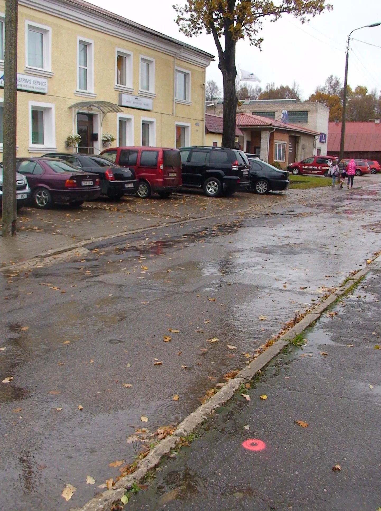 Viljandi kriminaaltalitus teeb kindlaks  kõnniteele roosa värviga tehtud märgistuse autorit.