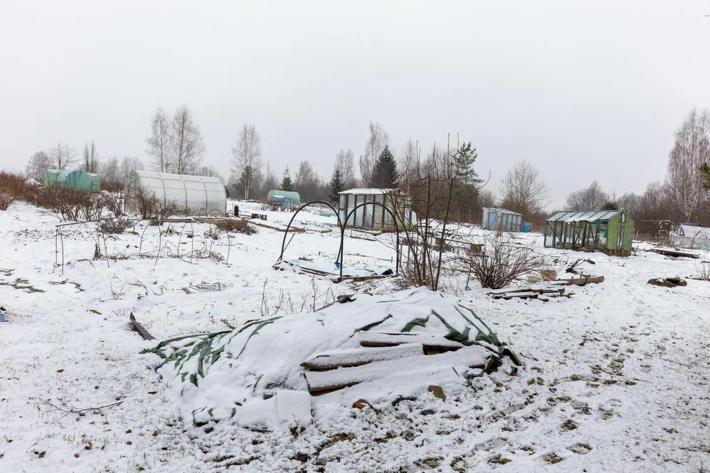Aastaid aiamaana kasutatud kinnistu aadressil&nbsp;Leola&nbsp;tänav 59 kuulub riigile, kuid paari aasta eest pakkus riik seda&nbsp;linnale ja nüüd on omanikuvahetus käega katsuda.