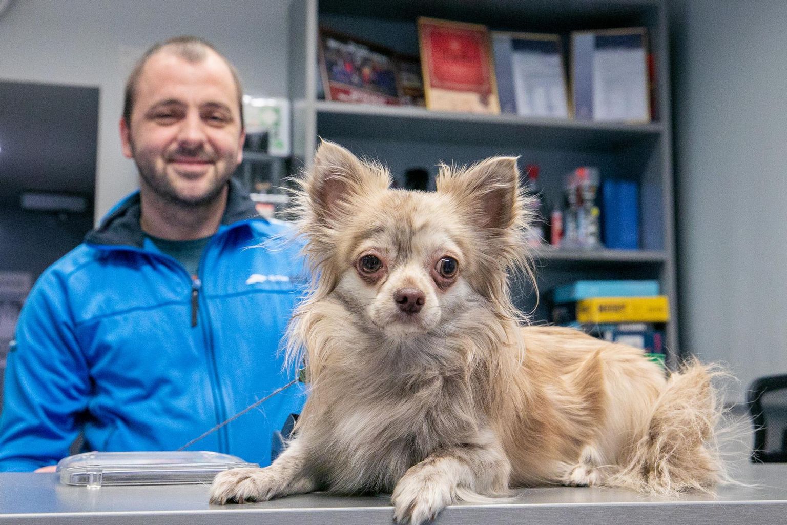 Rakveres osaühingu Makrum autoremonditöökojas töötav Janek Eerits koos päästetud Jackiga.