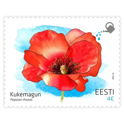 Kukemaguna seemnetega mark.