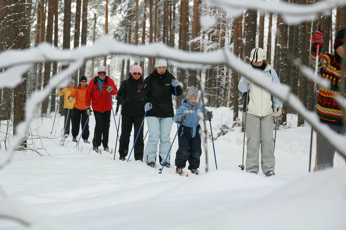 Rekordi püstitamiseks vajalikke kilomeetreid võib koguda suusatates, sörkides ja jalutadeski. Foto on illustreeriv.