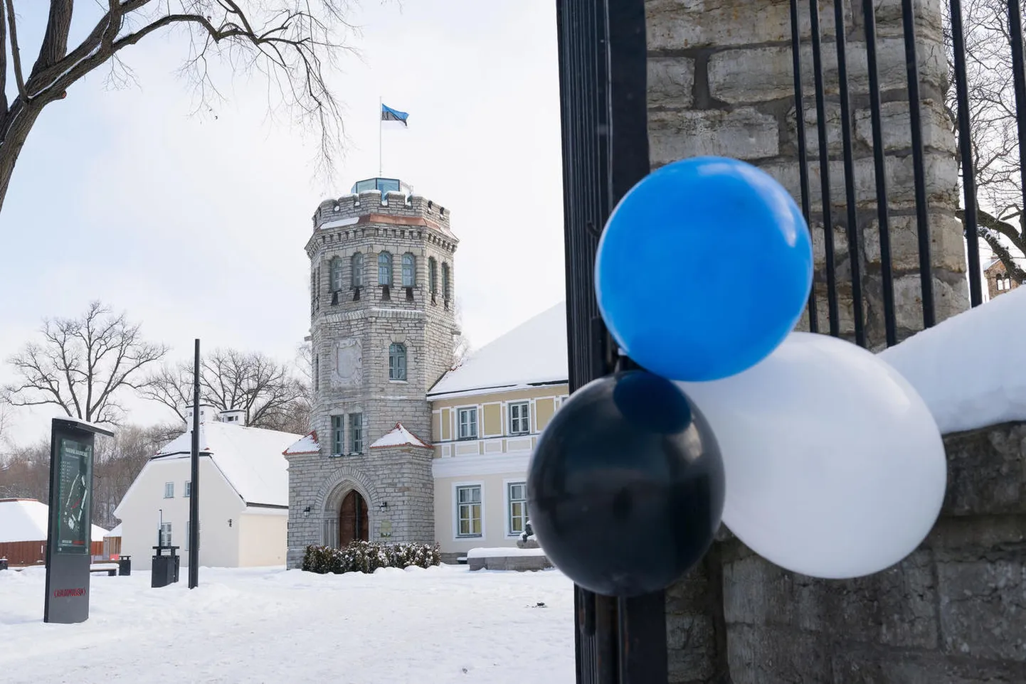 Maarjamäe loss talvel