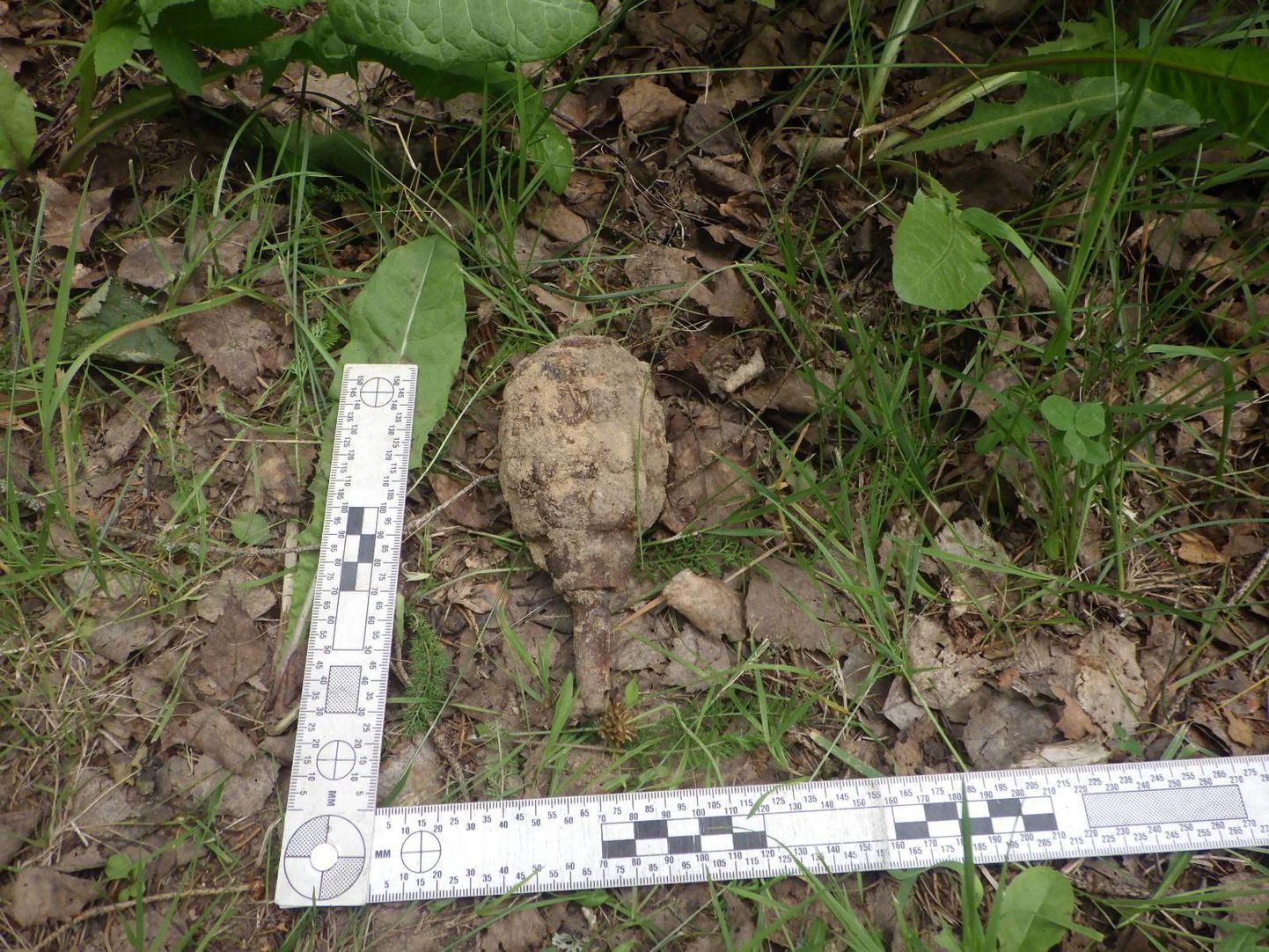 Leevi kalmistult leiti granaat.