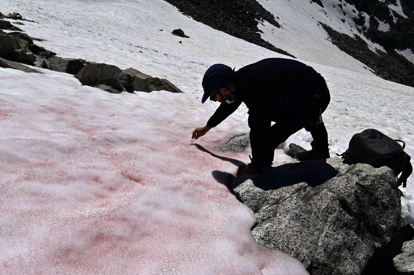 Teadlane Itaalia Alpides liustikul roosa lume proove võtmas.