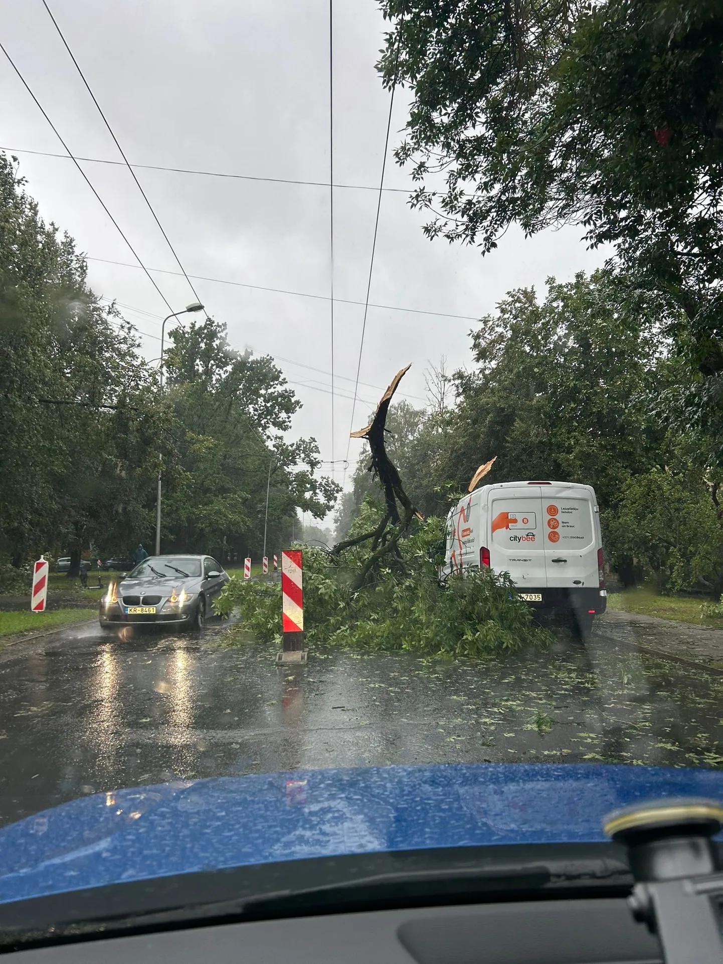 Vētras postījumi Rīgā - Biķernieku ielā.
