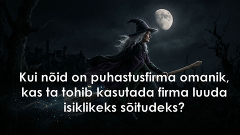 Puhastusfirma omanik