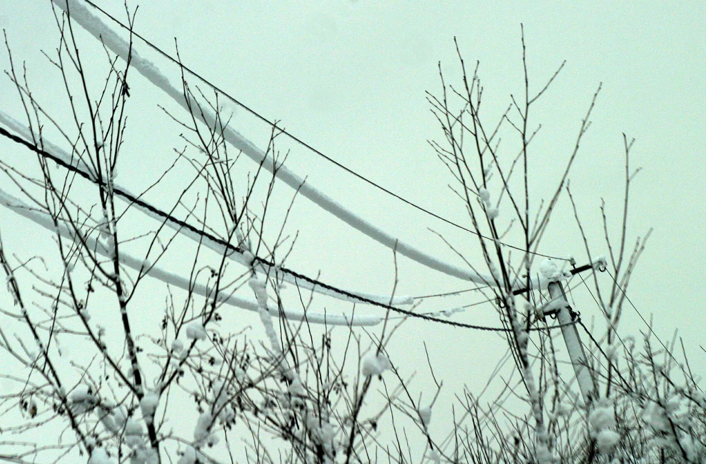 Elektriliin.
