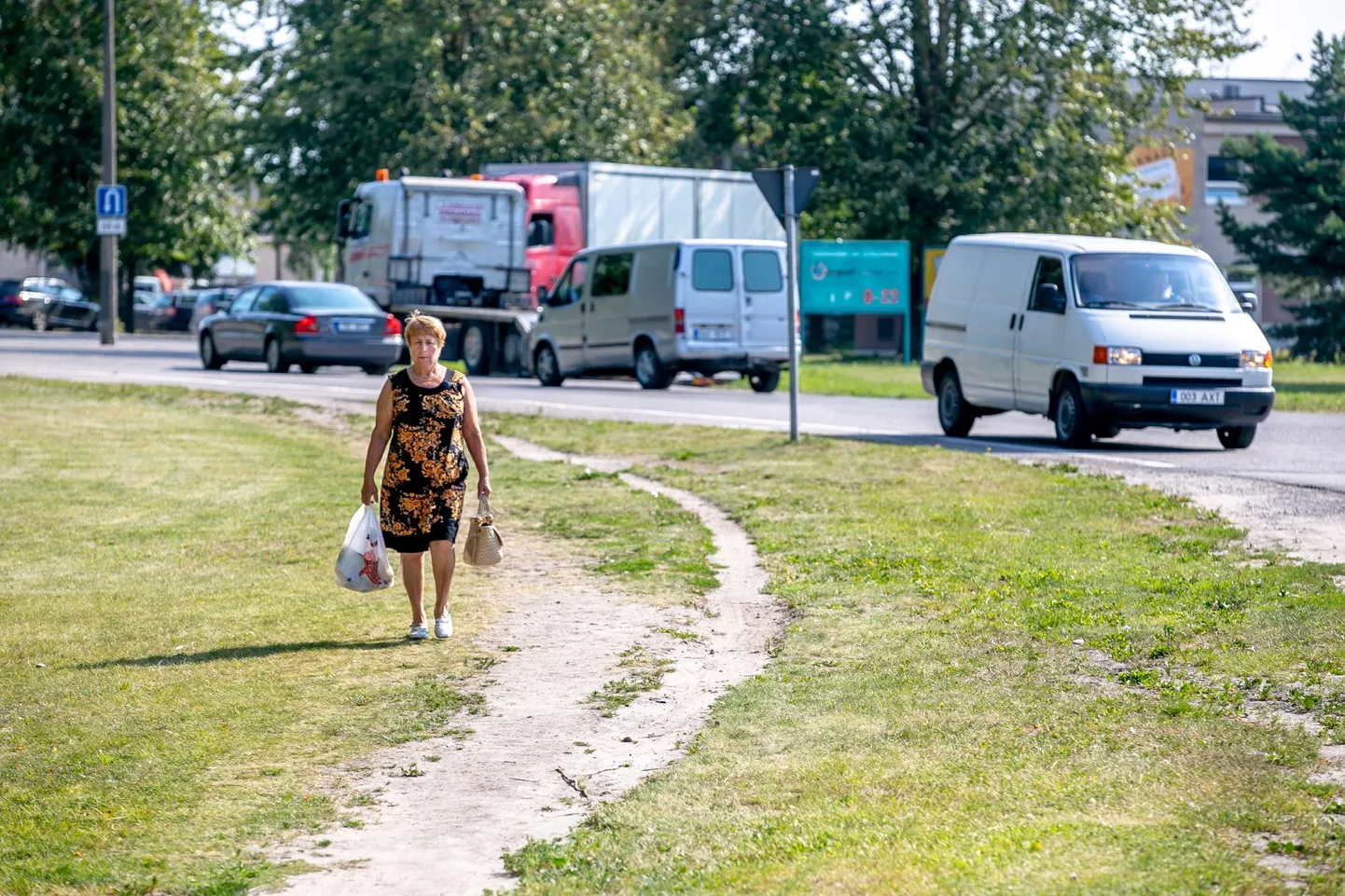 Eri kaubandus- ja teenindusettevõtted omavad märkimisväärset kliendibaasi, kuid kliendid peavad tihtipeale ettevõtete juurde jalgsi tulemiseks kasutama sõiduteed.