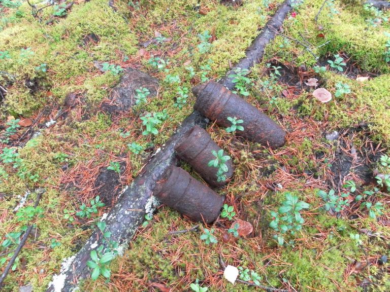 Три взрывных устройства, найденных в лесу вблизи Таллинна. Фото: Тийна Тамм