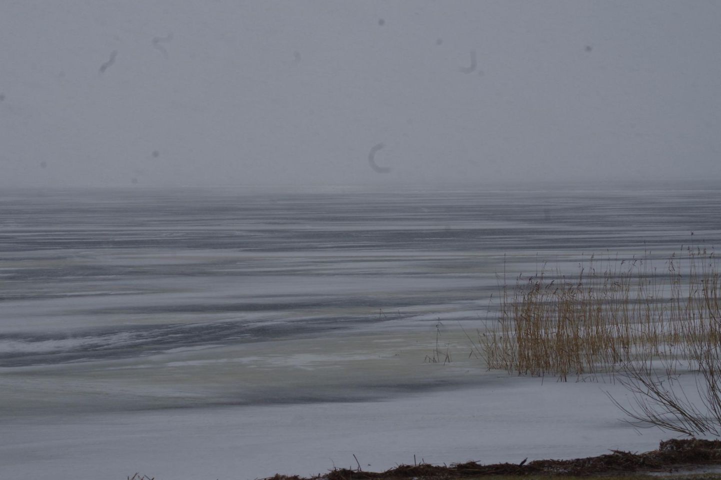 Peipsi järv Räpina sadamas. Pilt on illustreeriv.