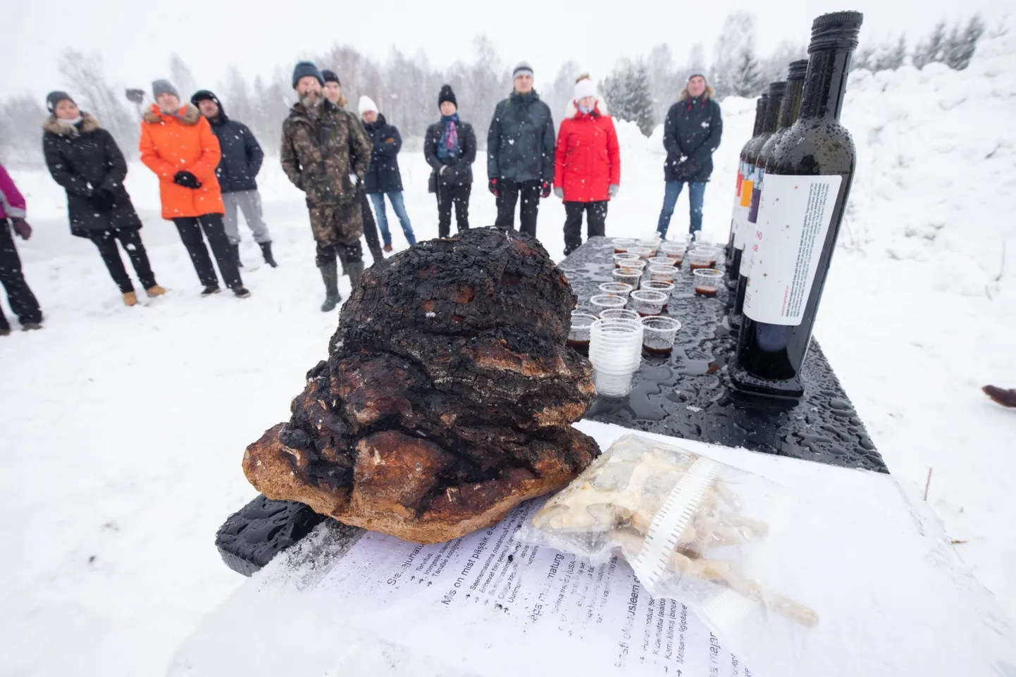 Musta pässiku õppepäeval tutvustati metsaomanikele tšaaga kasvatamist ning pakuti seenest valmistatud eliksiire.