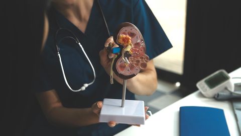 AVASTUS ⟩ Neerukivid peidavad endas ohtlikku saladust, mis sunnib haigust naasma