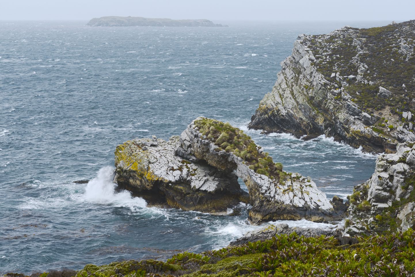 Falklandi saared.