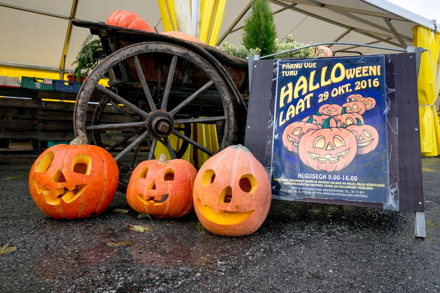 Maitsvat kõrvitsat meile võõrale halloweenile raisata on kurjast. Kõrvits potti, purki ja ahju!