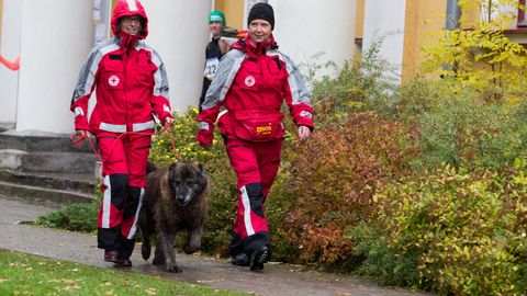 Viljandimaal toimetavad koos Eesti Punase Risti raudvara ja parim noor