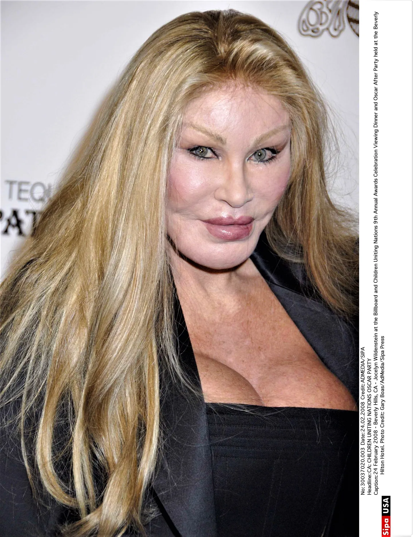 Jocelyn Wildenstein.
