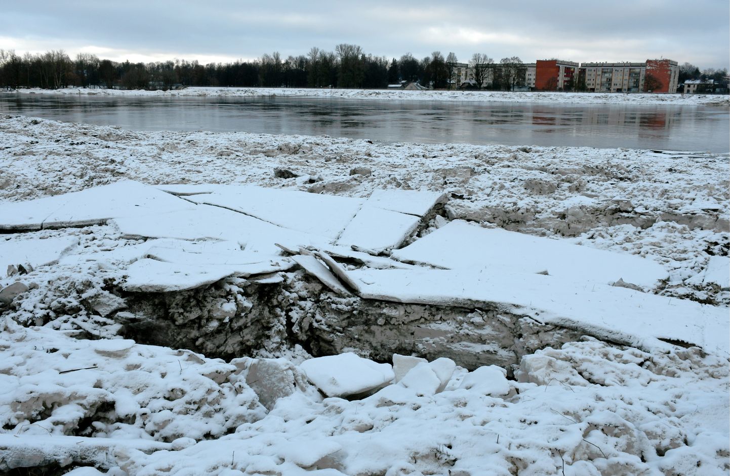 Vižņi Daugavā pie Jēkabpils pēc plūdiem, kad 14. janvārī Daugavā ūdens līmenis sasniedza 8,92 metrus.