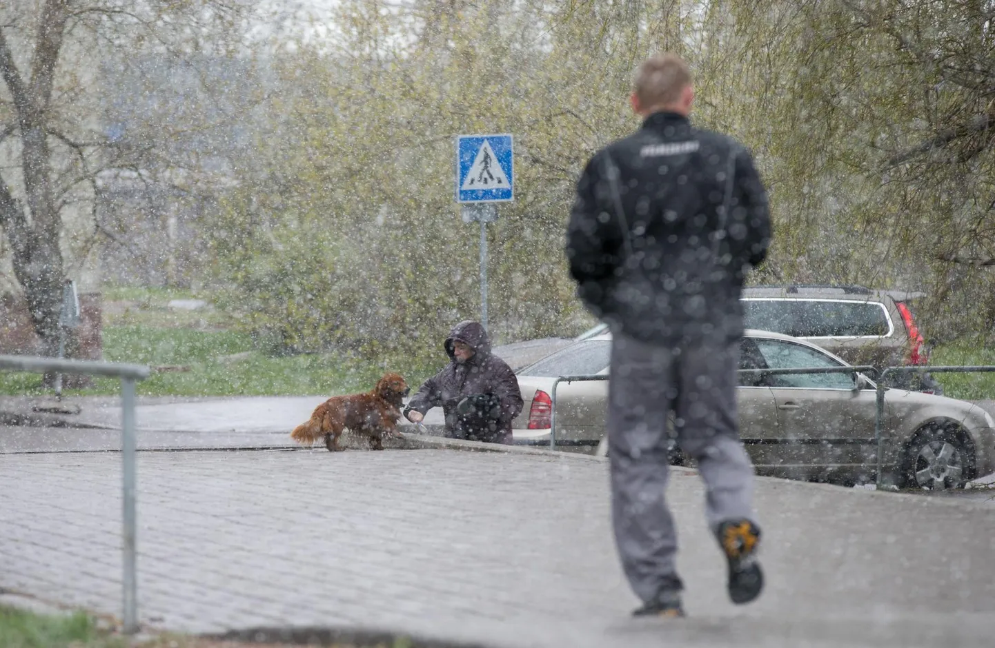 Tuleval nädalal veavad kevad ja talv keskkonnaagentuuri andmetel vägikaigast.