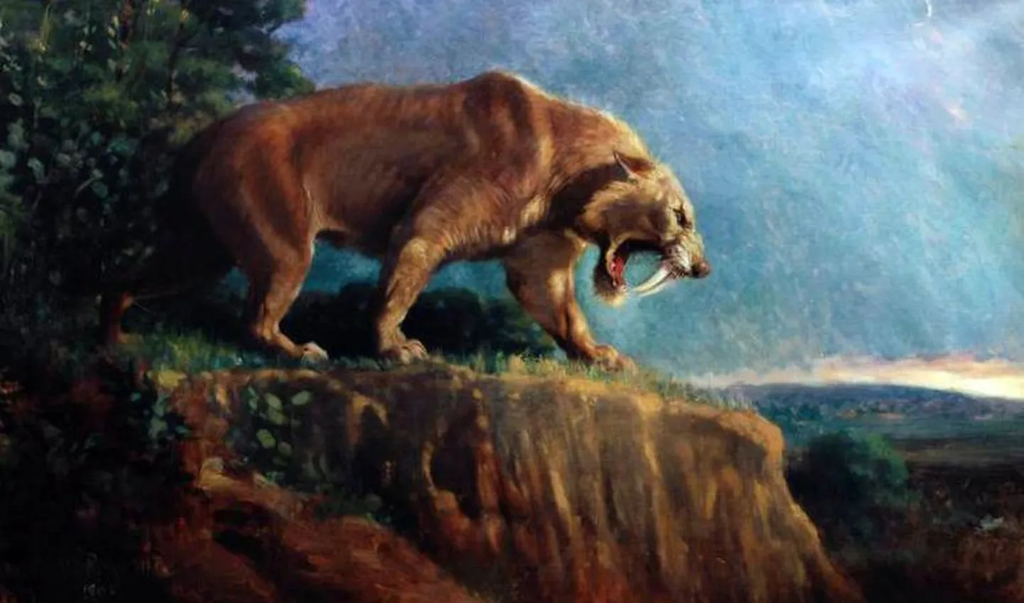 Mõõkhambuline tiiger