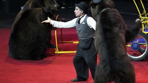 В России хотят запретить несовершеннолетним посещать цирк