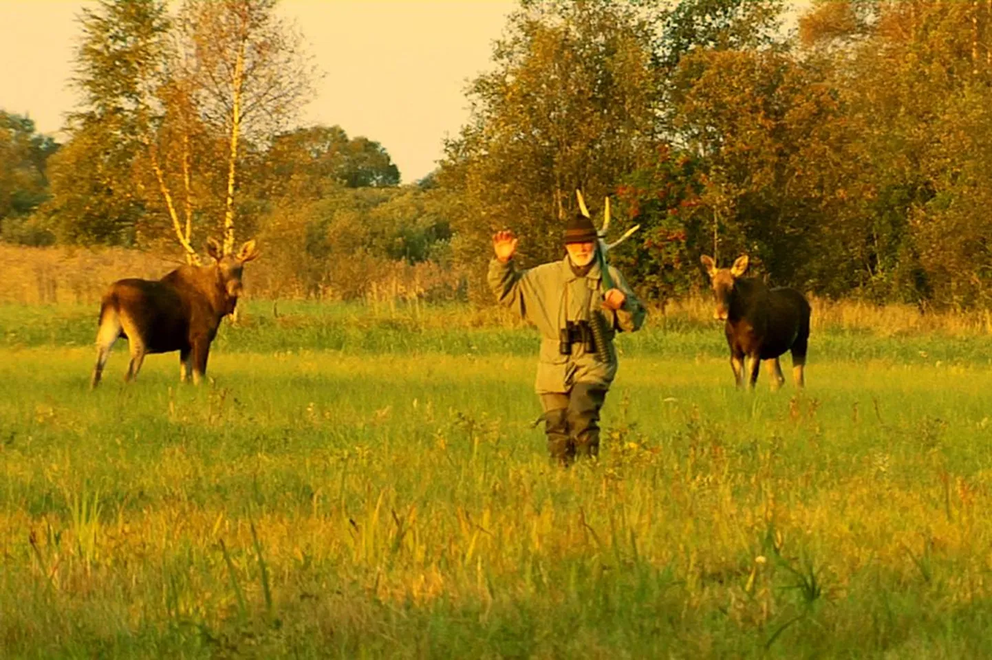 Võidufilm «Vanamees ja põder».