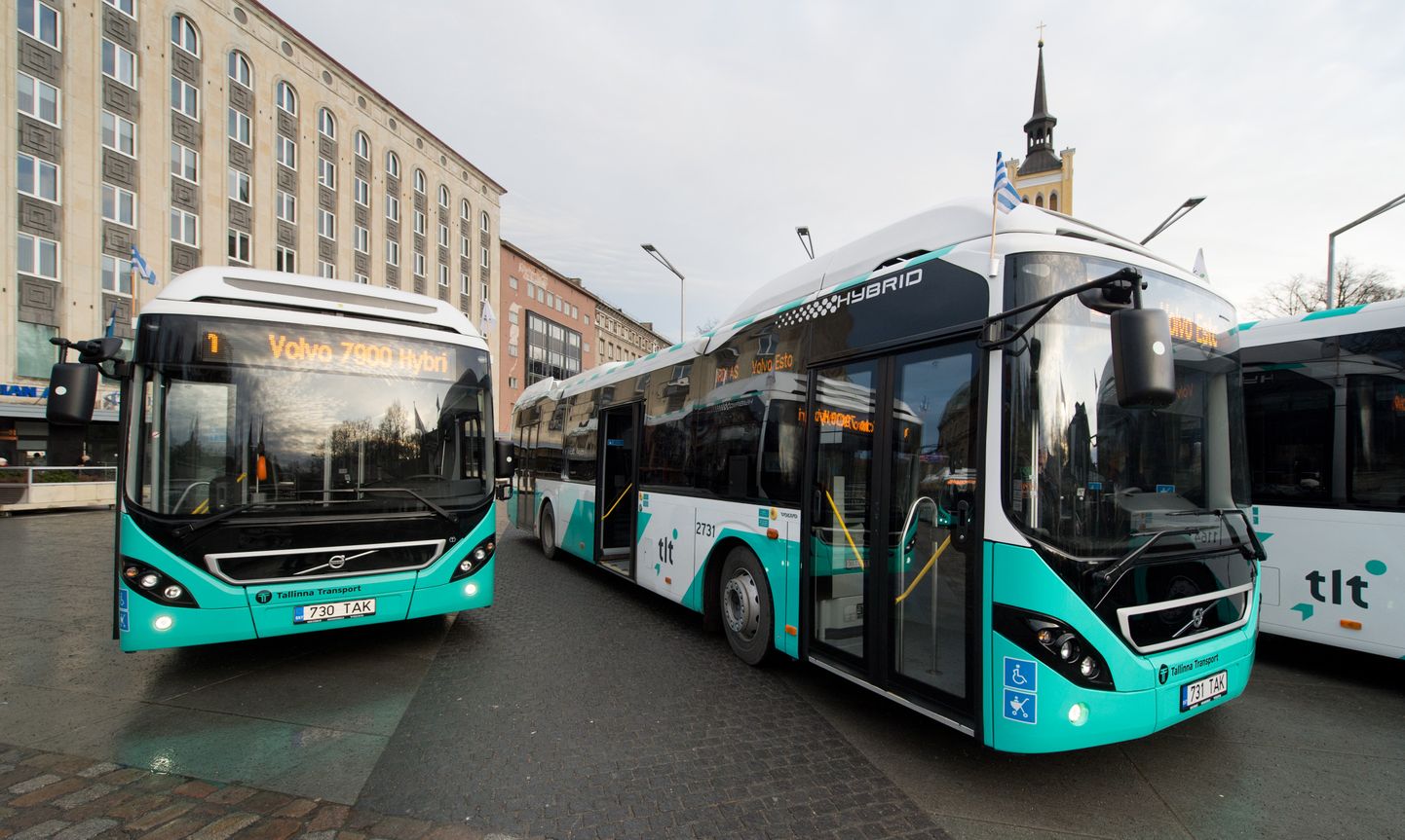 Tallinna bussid Vabaduse väljakul
