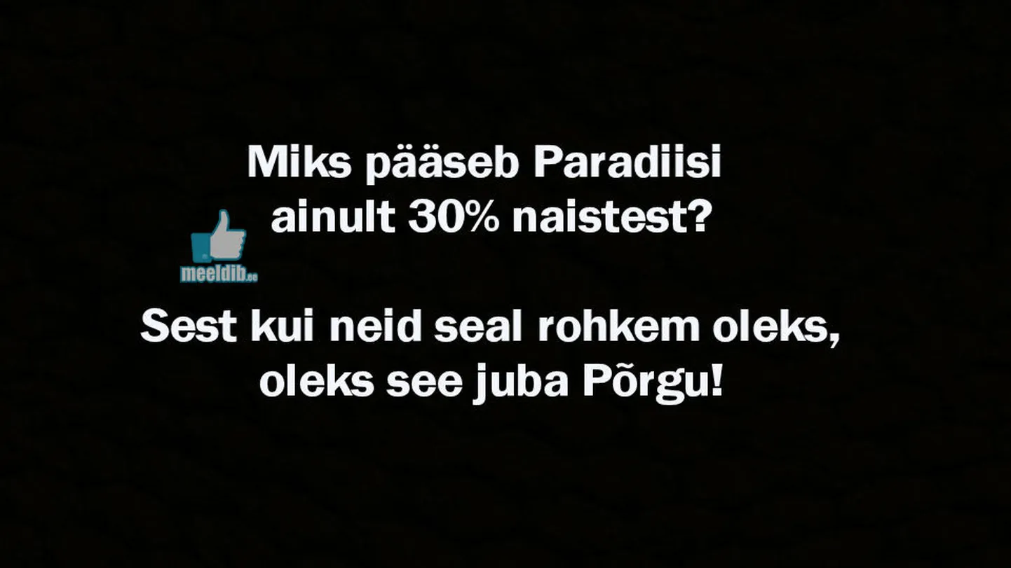 Artikli foto