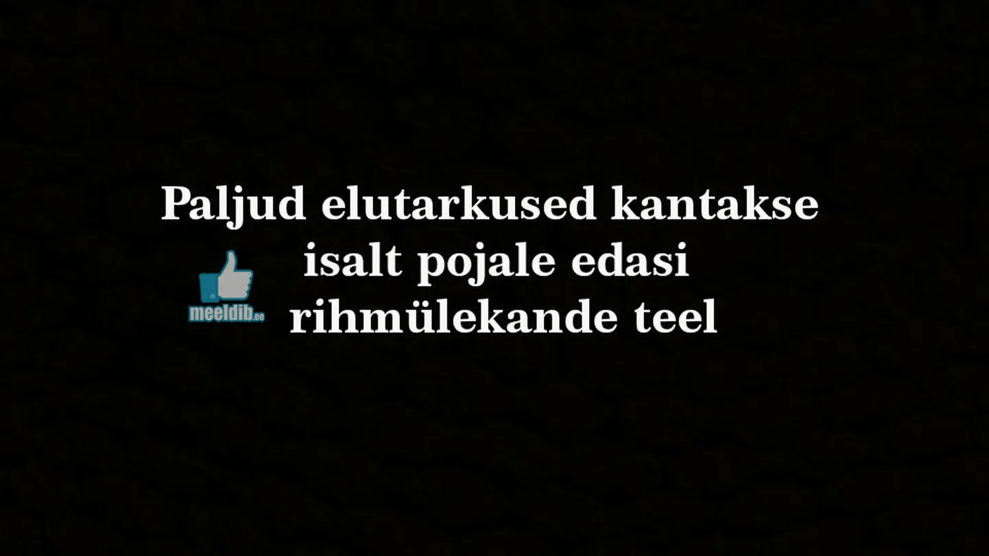 Artikli foto